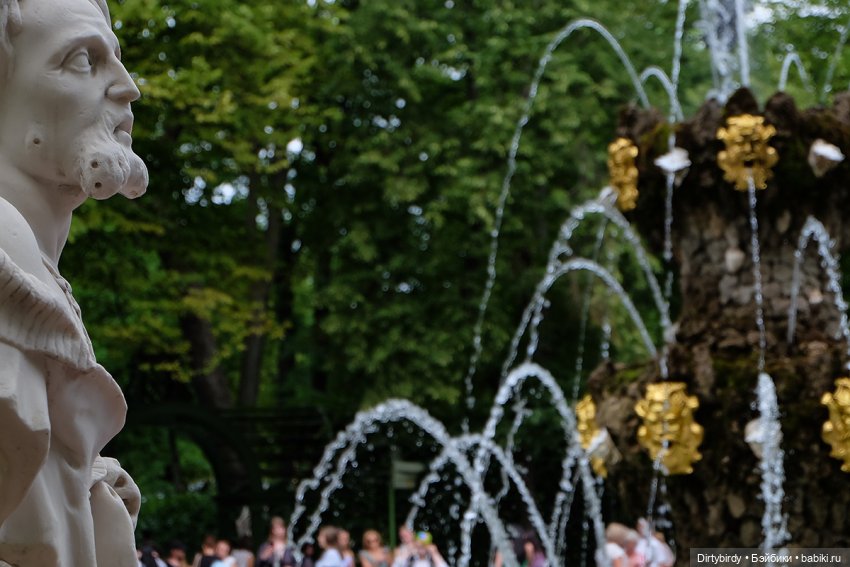 Летний сад, стихи и айдолы (фото 3)