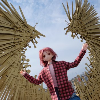 Крыши Петербурга