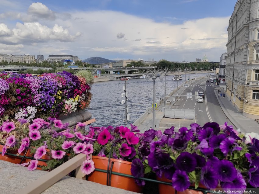 А я иду, шагаю по Москве — Куклы и тела Obitsu (Обитсу): 1/6 (фото 5)