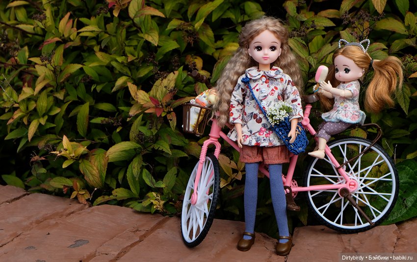 Девочки-припевочки и их велосипед (фото 5)
