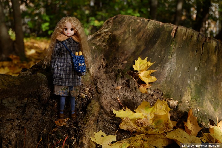 Осенняя фотосессия Дымчатой Ликки