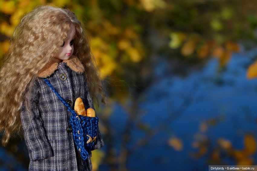 Осенняя фотосессия Дымчатой Ликки