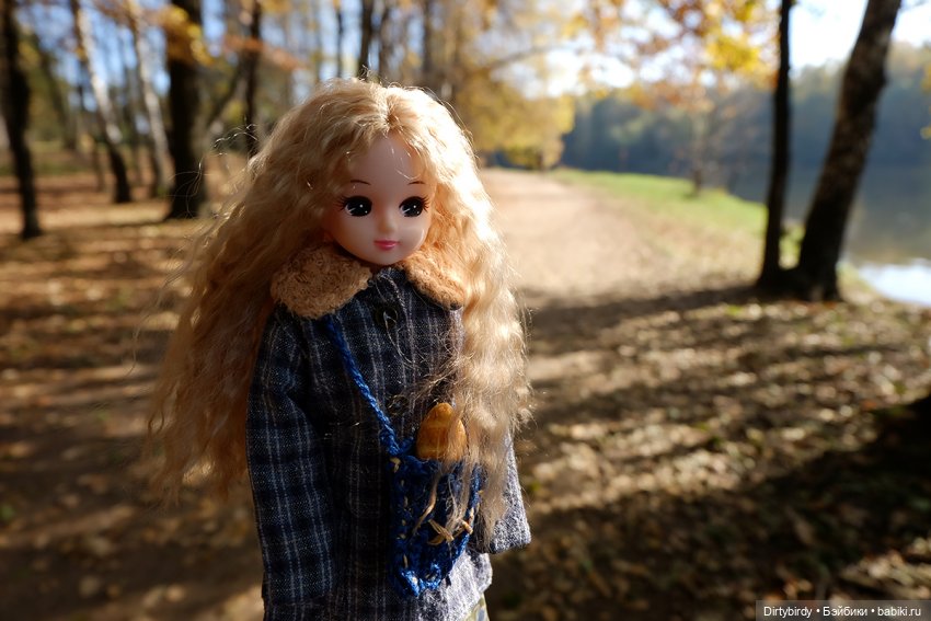 Осенняя фотосессия Дымчатой Ликки (фото 4)