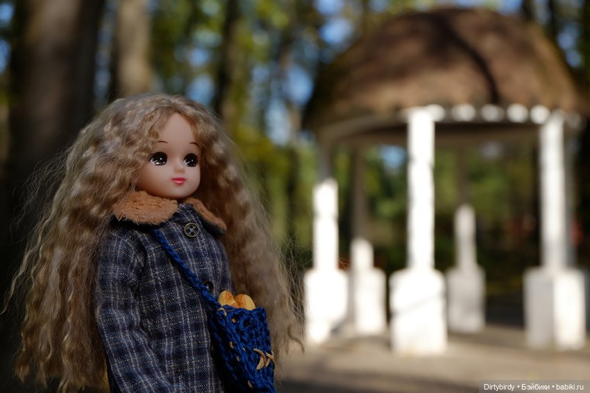 Осенняя фотосессия Дымчатой Ликки (фото 3)