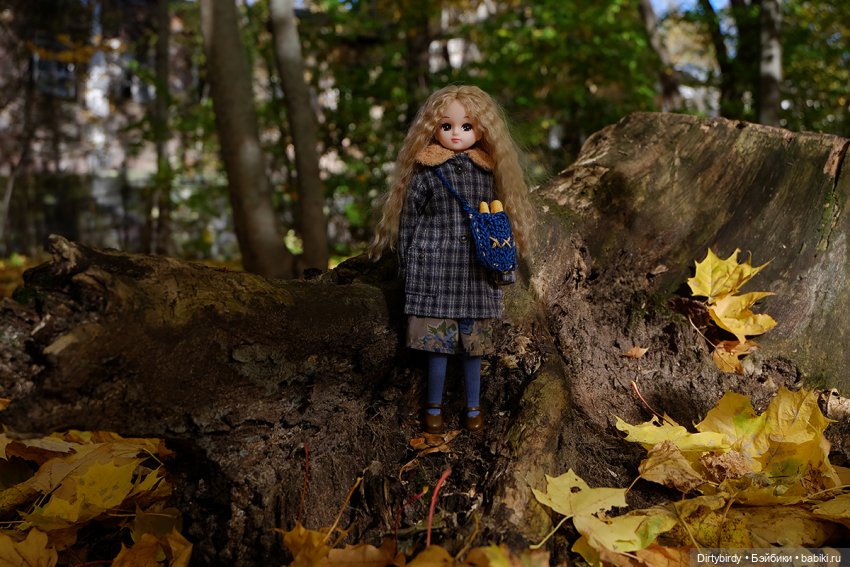 Осенняя фотосессия Дымчатой Ликки