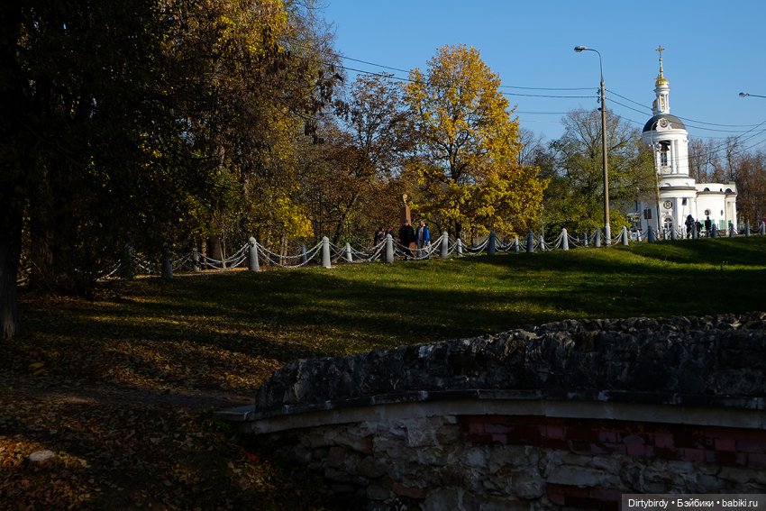 Осенняя фотосессия Дымчатой Ликки (фото 2)