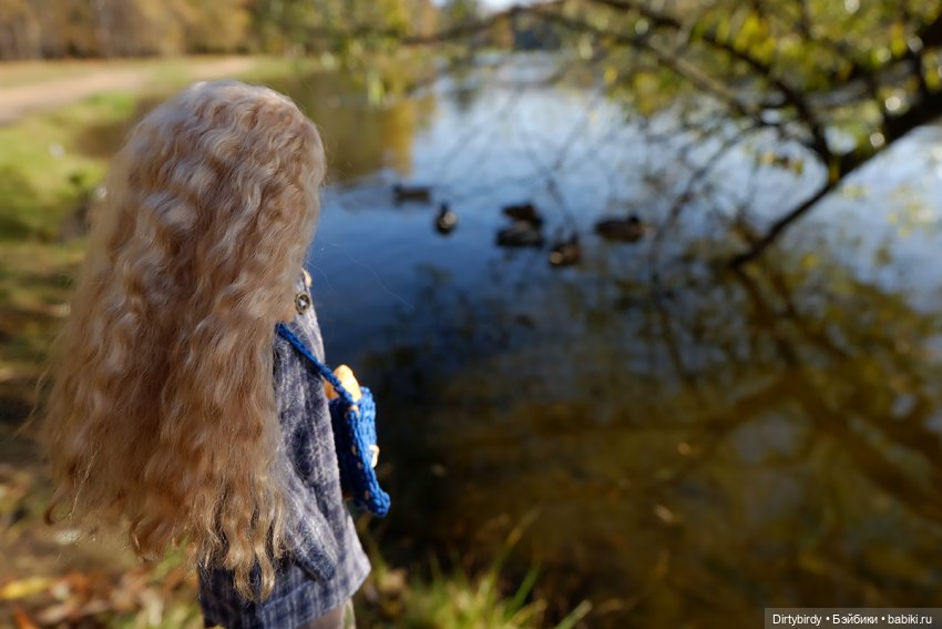 Осенняя фотосессия Дымчатой Ликки