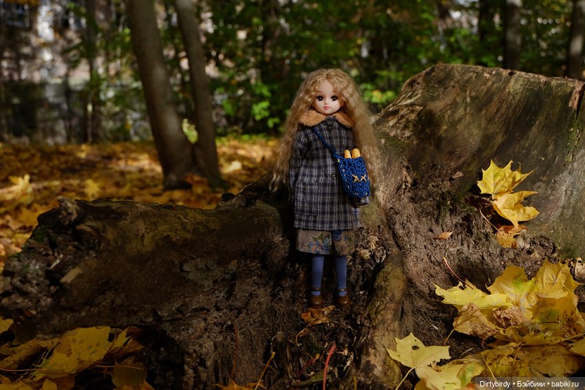 Осенняя фотосессия Дымчатой Ликки