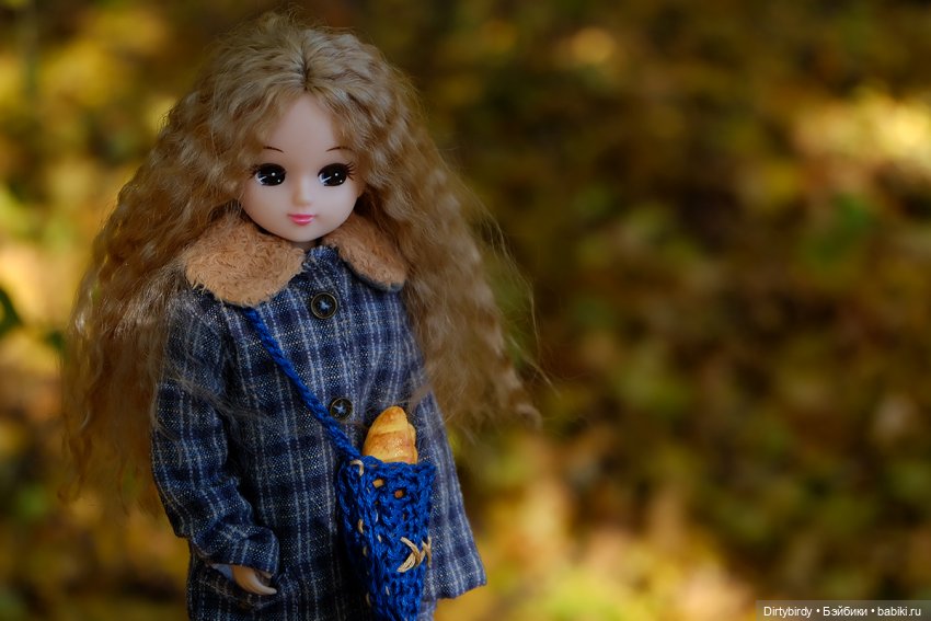 Осенняя фотосессия Дымчатой Ликки (фото 5)