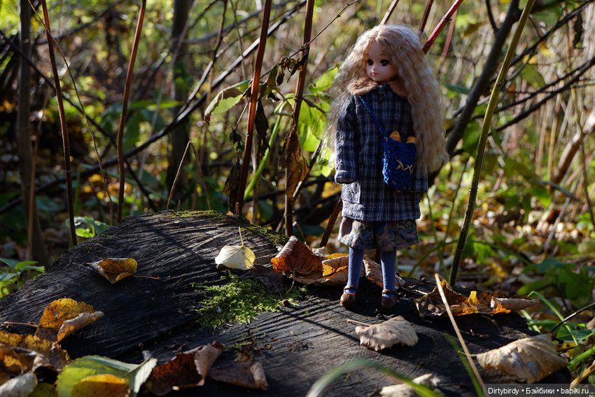 Осенняя фотосессия Дымчатой Ликки (фото 6)