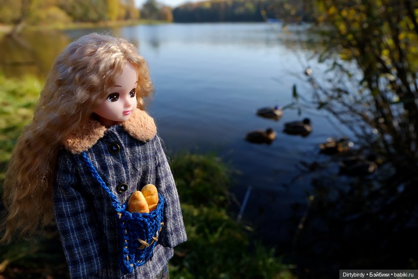 Осенняя фотосессия Дымчатой Ликки (фото 10)