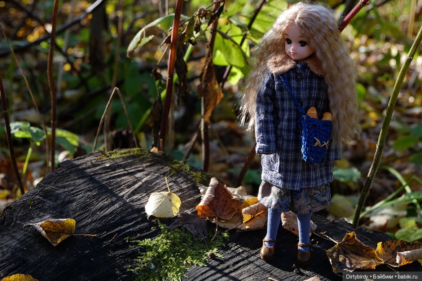 Осенняя фотосессия Дымчатой Ликки (фото 7)