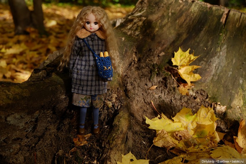 Осенняя фотосессия Дымчатой Ликки