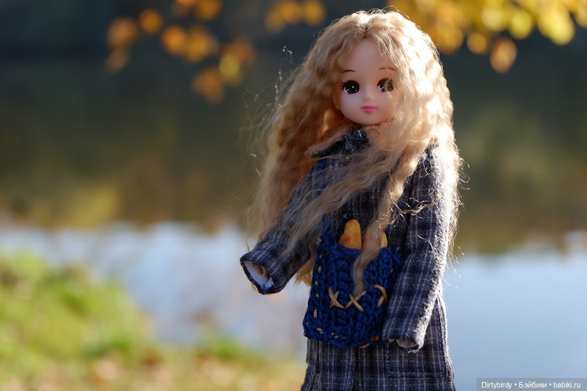 Осенняя фотосессия Дымчатой Ликки (фото 9)