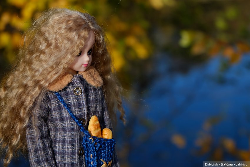 Осенняя фотосессия Дымчатой Ликки