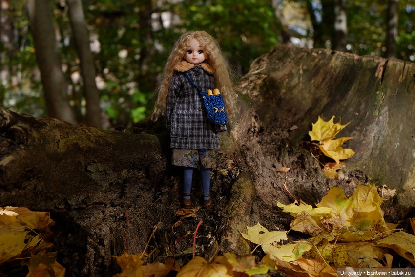 Осенняя фотосессия Дымчатой Ликки