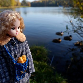 Осенняя фотосессия Дымчатой Ликки