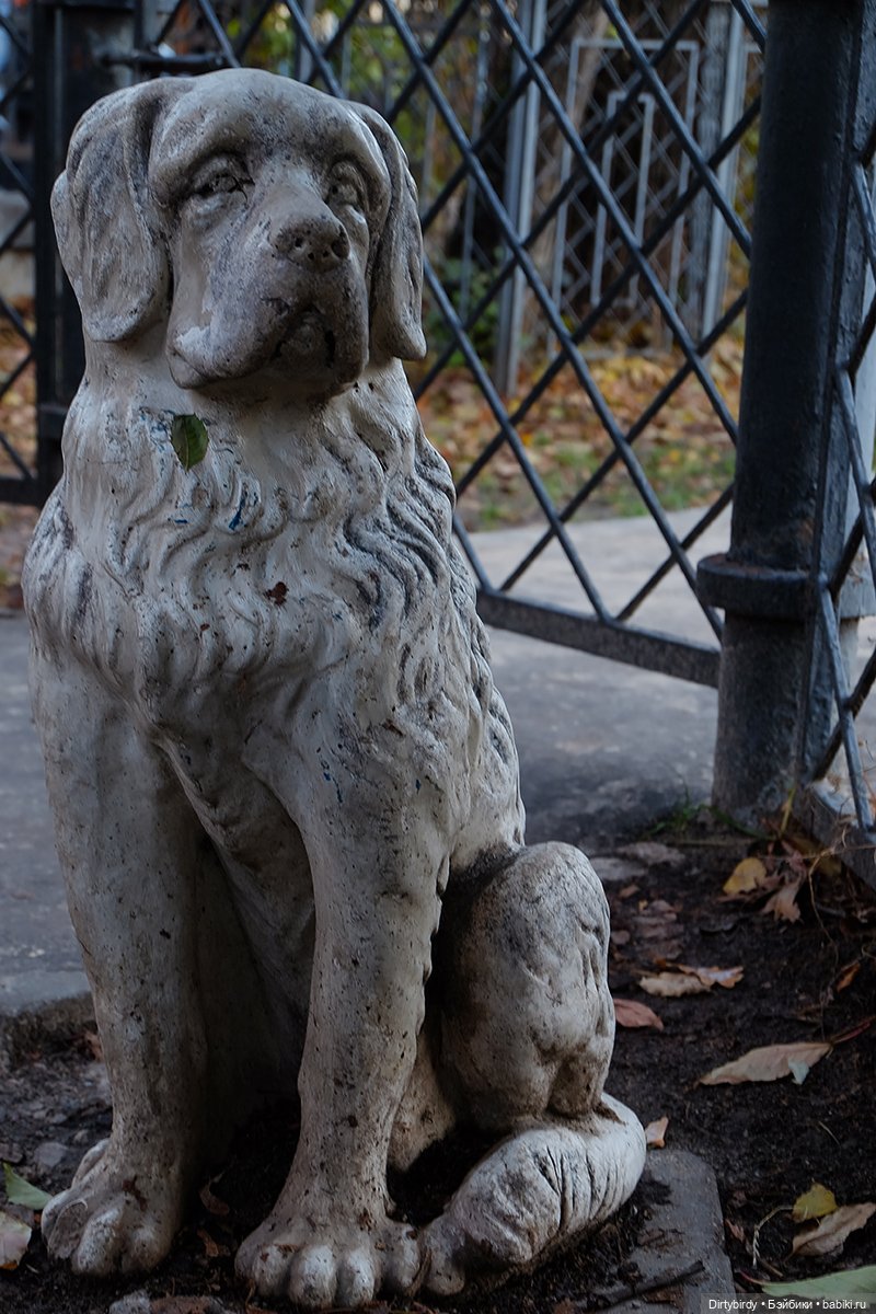 Ноябрь. Москва — Куклы Integrity Toys (Интегрити): Poppy Parker