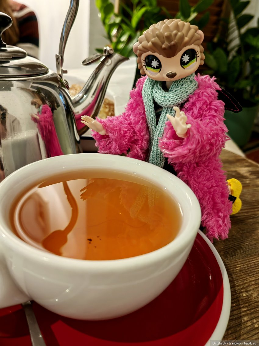 Ежи Франкович или осенняя таблетка от всего (фото 9)