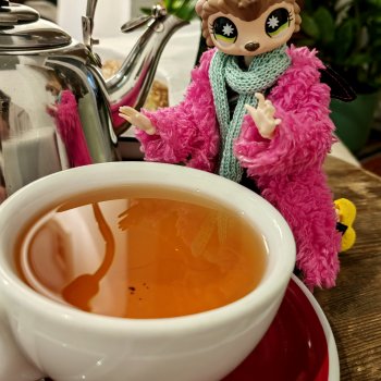 Ежи Франкович или осенняя таблетка от всего