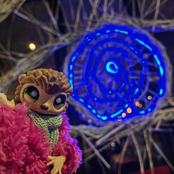 Ночной житель