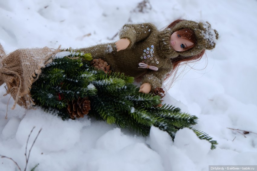 А я что - а я ничего! Ким Мари и её первая зимняя прогулка (фото 7)