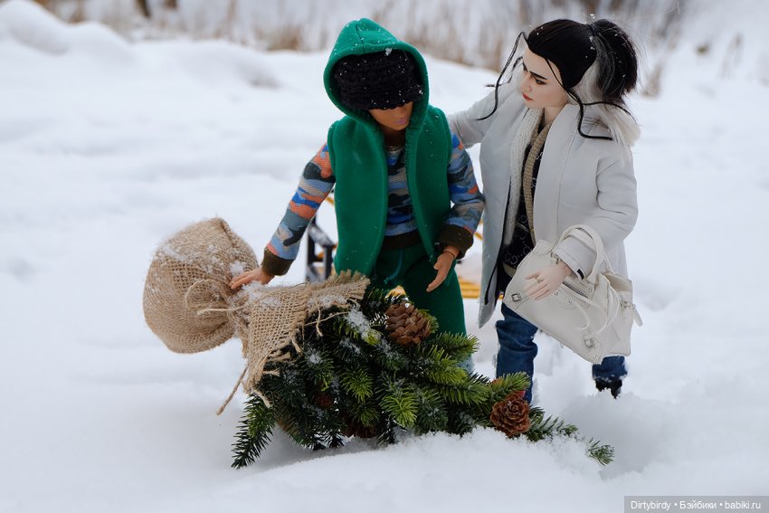 Щибальский снег — Куклы и тела Obitsu (Обитсу): 1/6 (фото 4)