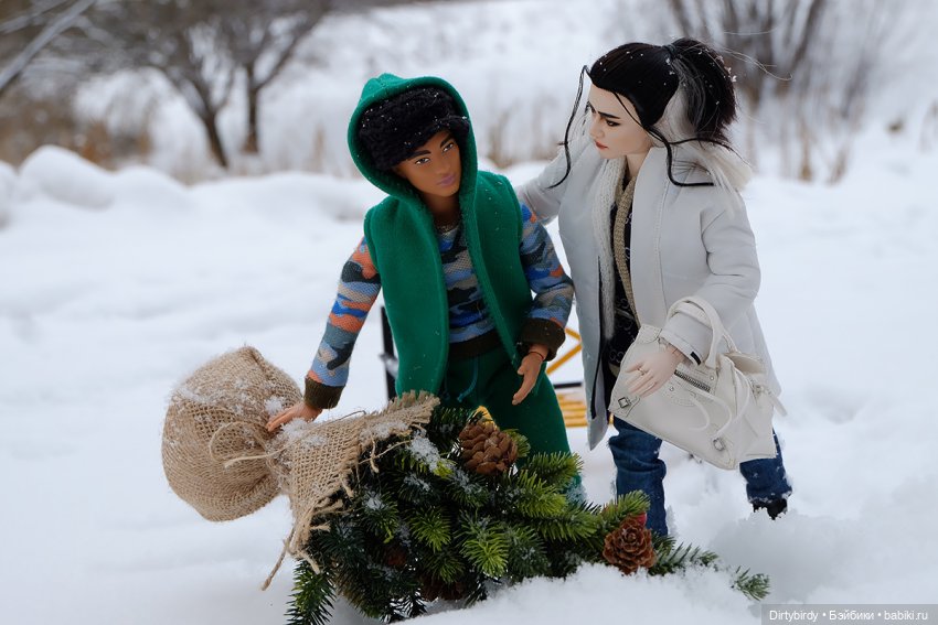 Щибальский снег — Куклы и тела Obitsu (Обитсу): 1/6 (фото 3)