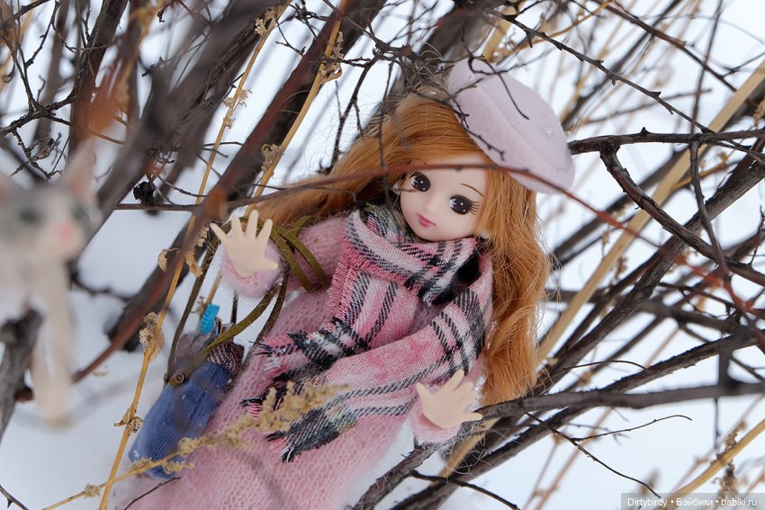 Берегите хвосты — Куклы Takara Tomy (Такара): Licca (Ликка) (фото 5)