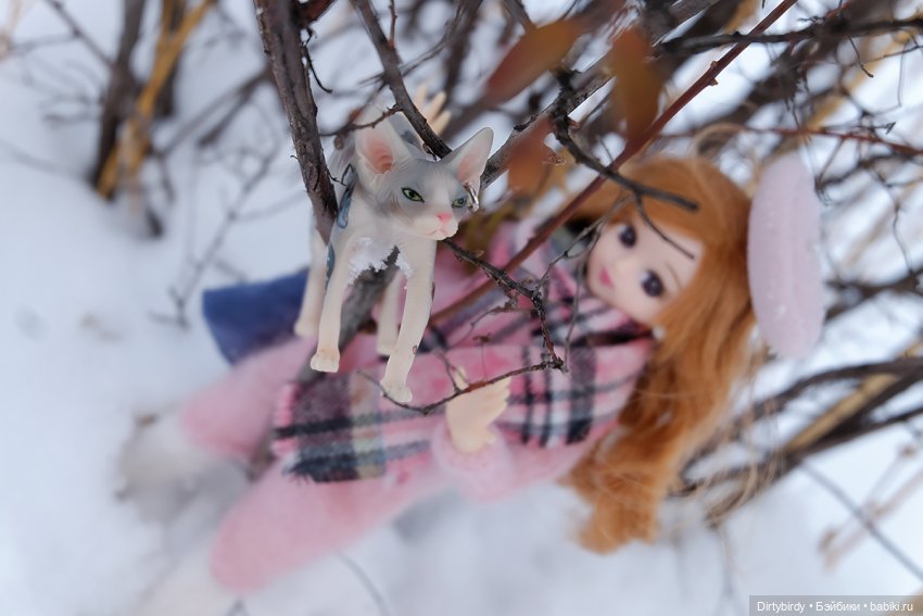 Берегите хвосты — Куклы Takara Tomy (Такара): Licca (Ликка) (фото 4)