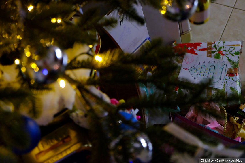 Вам рыбу или курицу — Фэшн