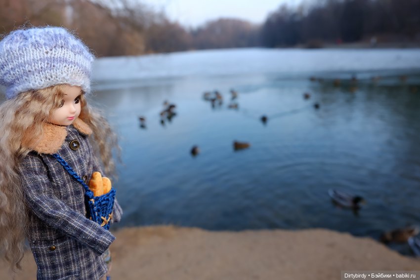 Странный февраль — Куклы Takara Tomy (Такара): Licca (Ликка)