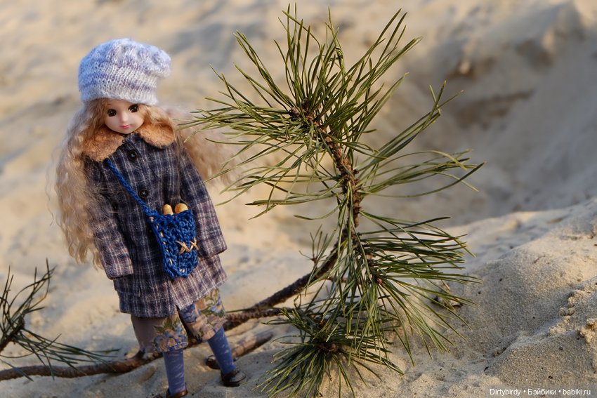 Странный февраль — Куклы Takara Tomy (Такара): Licca (Ликка)