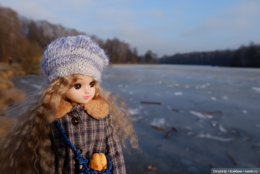 Странный февраль — Куклы Takara Tomy (Такара): Licca (Ликка) (фото 5)