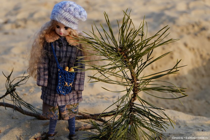 Странный февраль — Куклы Takara Tomy (Такара): Licca (Ликка)