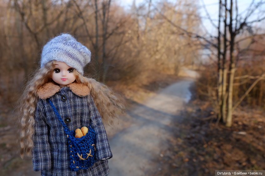 Странный февраль — Куклы Takara Tomy (Такара): Licca (Ликка)