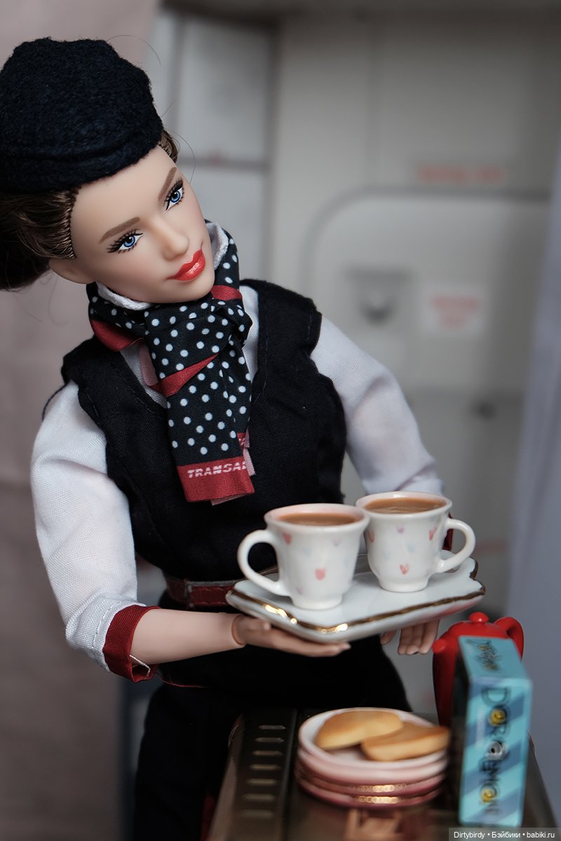 Один день из жизни стюардессы