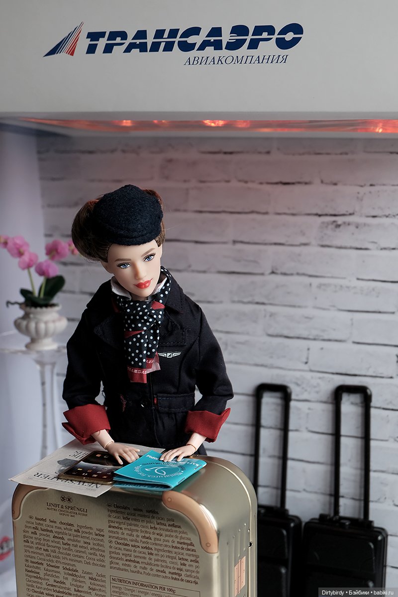 Один день из жизни стюардессы (фото 4)