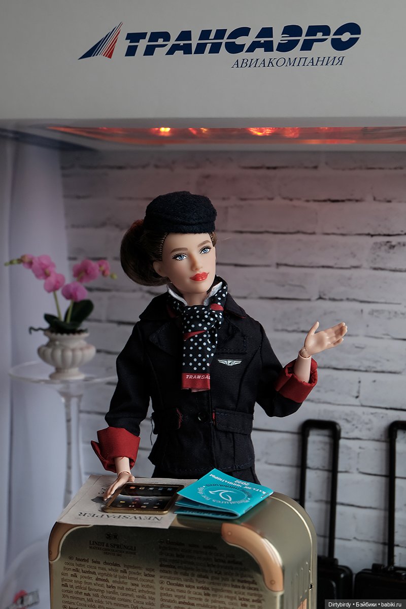 Один день из жизни стюардессы (фото 2)