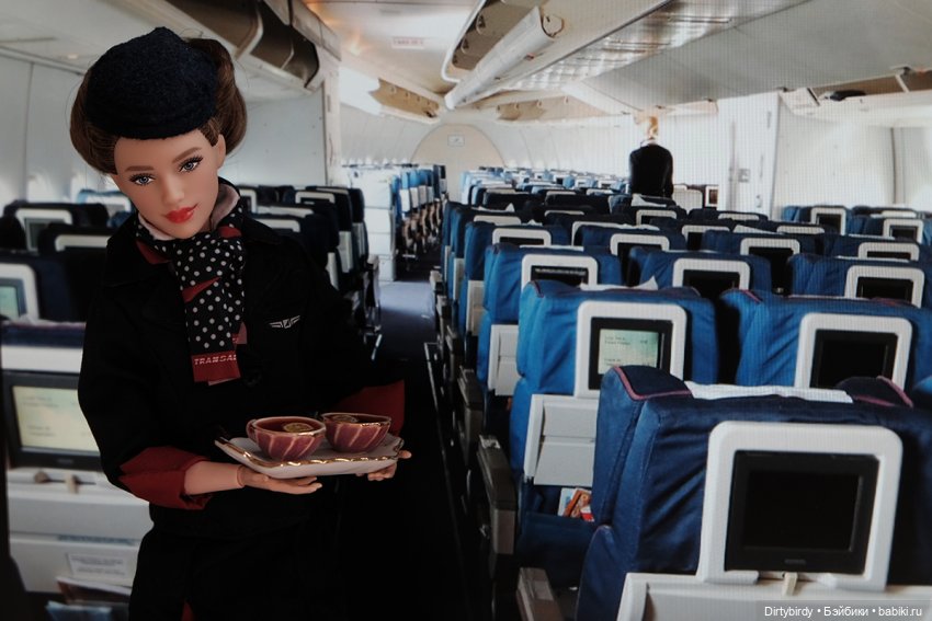 Один день из жизни стюардессы