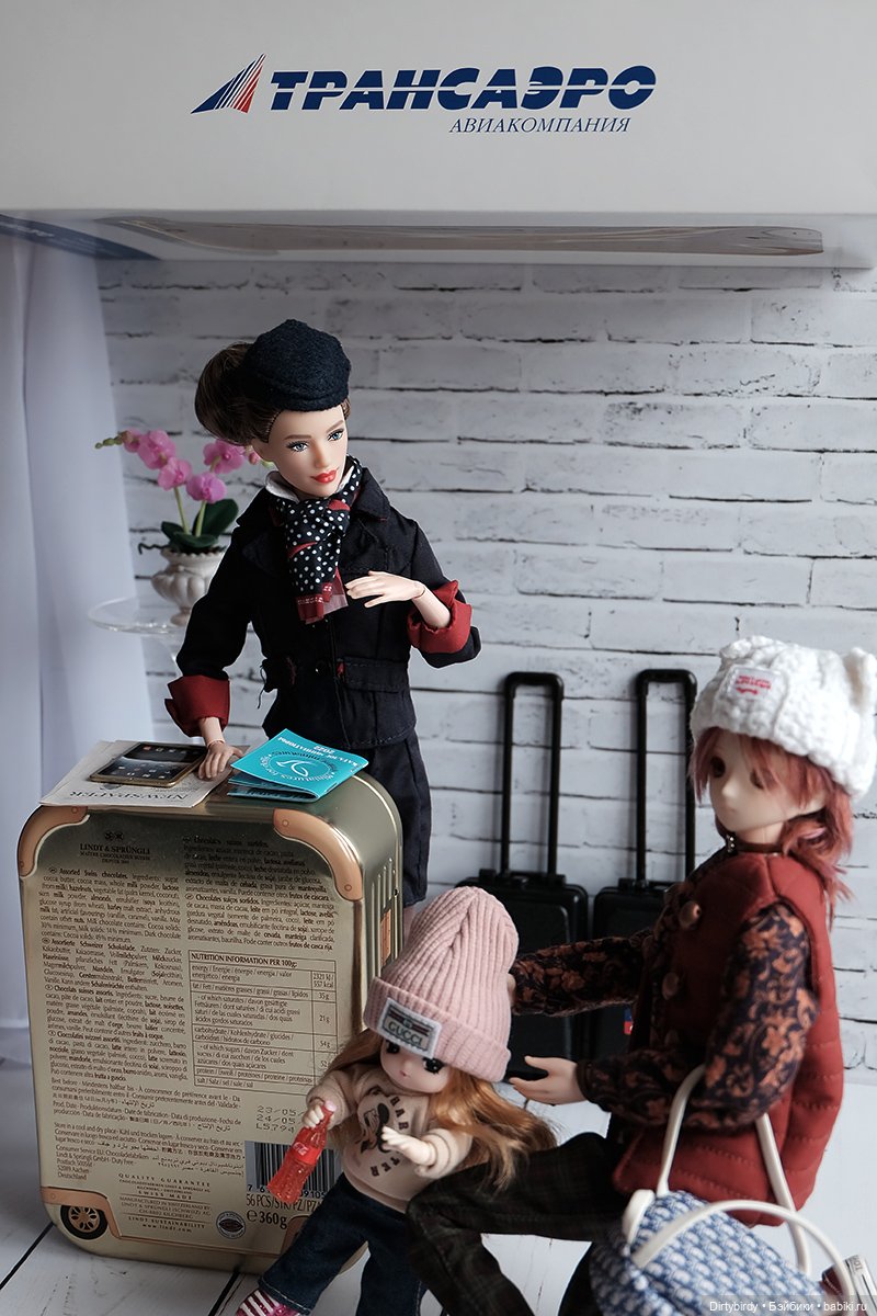 Один день из жизни стюардессы (фото 3)