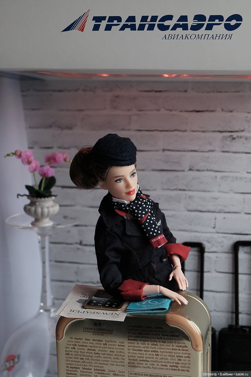 Один день из жизни стюардессы