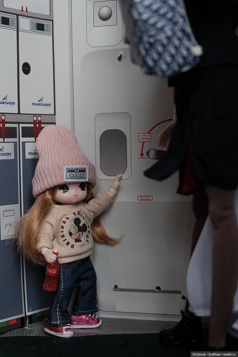 Один день из жизни стюардессы (фото 8)