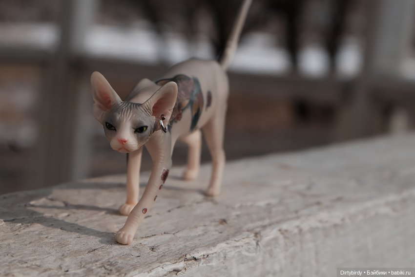 Мартовские котики и вишневый кофе😼🍒☕ (фото 2)