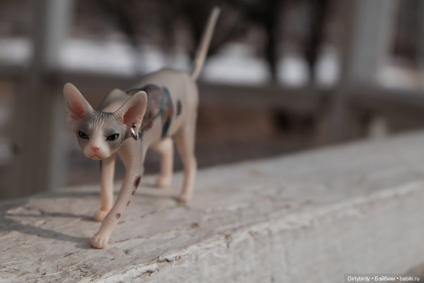 Мартовские котики и вишневый кофе😼🍒☕