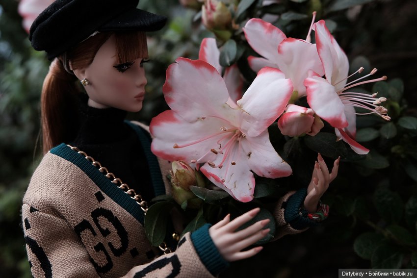 Когда цветет рододендрон💮 (фото 8)