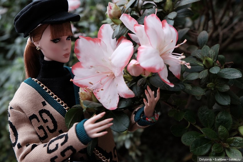 Когда цветет рододендрон💮 (фото 7)