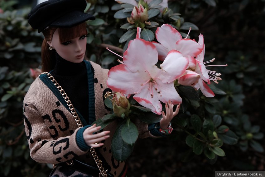 Когда цветет рододендрон💮 (фото 6)