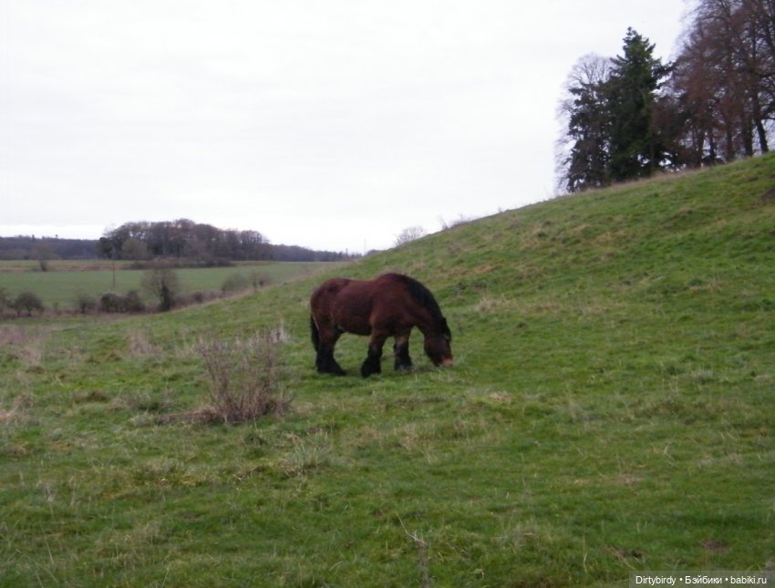 Отель смерть & завтрак. 4 серия