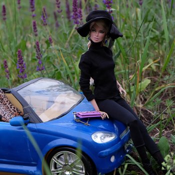 Лавандовый бэкстейдж